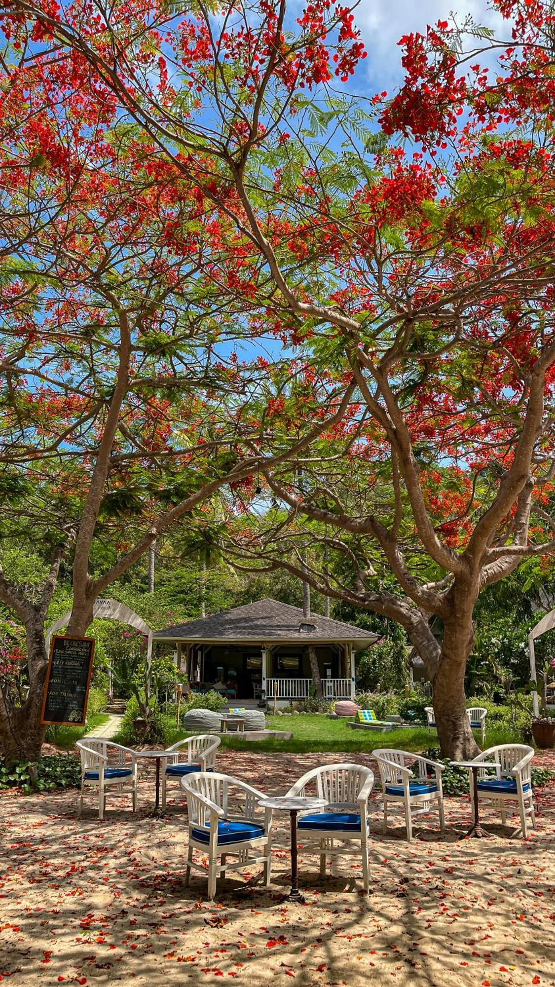 Vayam Boutique Resort Đảo Gili Asahan Ngoại thất bức ảnh